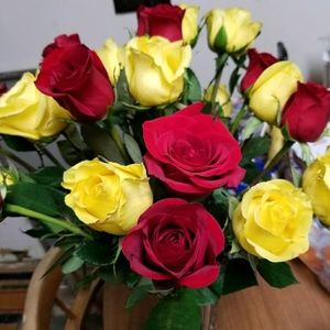 Meet your Posher, Teri